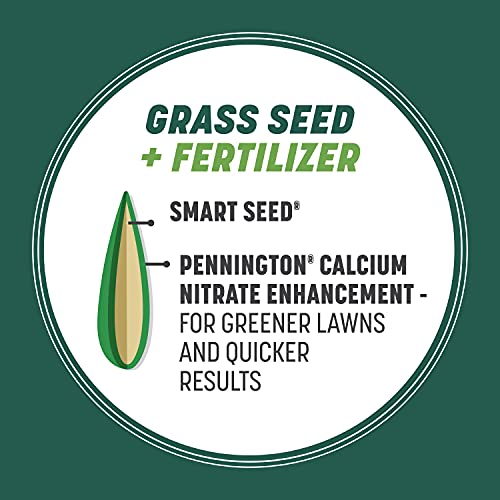 Pennington Smart Seed Sun and Shade Tall Fescue Grass Seed Mix for