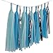 Baby Blue White Lake Blue Tissue Paper Pom Poms Flower Tissue Tassel Garland Circle Tissue Paper Garland Kit-20Pcs (Great for Boy First Birthday Party Wedding Nursery Decorations)