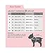 PUPPIA International Harness Soft B Vest, Large, Sky Blue