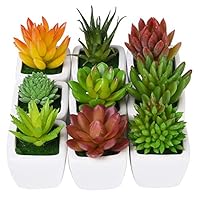 CHICHIC Set of 9 Mini Assorted Artificial Succulent Plants, Decorative Faux Succulents, Small Fake Plants for Decoration, Potted Fake Succulents with Ceramic Pots, Fake Aloe Cactus Cacti with Planters