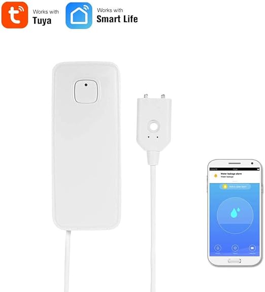 google home compatible home security