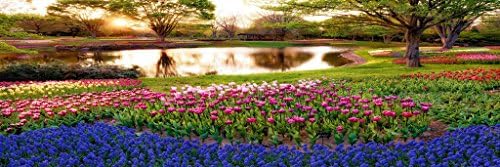 AT6073 Park Trees Sun Grass Greens Landscape Panorama Large Format Printer Poster 12x36" Canvas Only