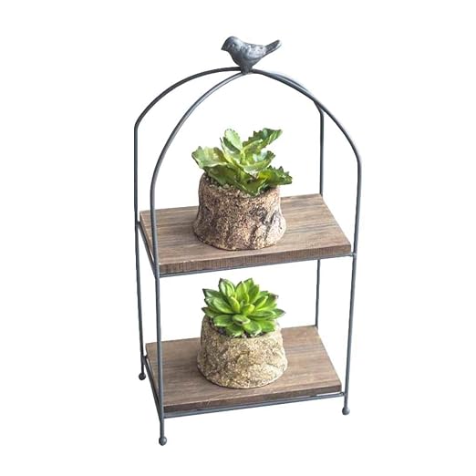 Soporte de exhibición de la flor de la planta 2 Tier de Escritorio ...