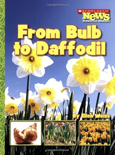 Download From Bulb to Daffodil (Scholastic News Nonfiction Readers: How Things Grow) PDF