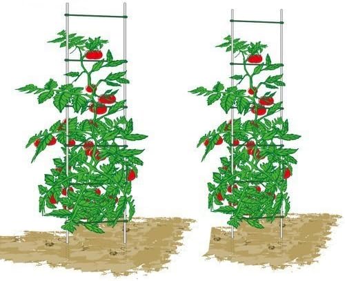 EcoTrellis, escalera extensible para plantas, escalera de soporte ...