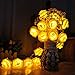 Avanti 20-Light LED Battery-Operated String Light Rose Flower Indoor Outdoor All Occasion Party Decor (Warm White)