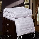 Topsleepy Men Colorized Fashion Socks Combed Cotton Crew 5 Pairs in 5 Colors