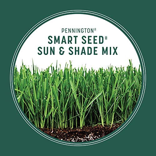 Pennington Smart Seed Sun and Shade Grass Mix 20 lb Pricepulse