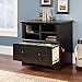 Sauder Harbor View Lateral File, Antiqued Paint finish