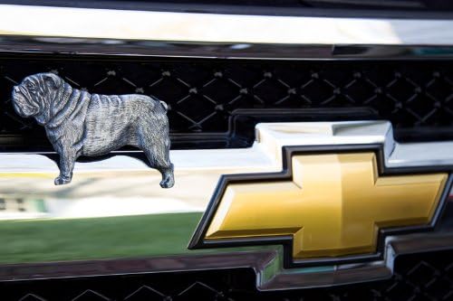 Grillie Bulldog-N Antiqued Nickel Finish Grille Ornament