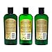 BC Bud Natural Hemp Shampoo & Conditioner & Exfoliating Body Wash Set with Botanical Hemp Oil and Omega 3 for Oily Hair, Itchy Scalp & Thinning Hair, Sulfate Free