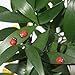 LJY 100 Pieces Mini Sized Ladybugs Shaped Stickers Miniature Ornament DIY Kit for Fairy Garden Dollhouse Plant Decor-Create Your Own Living