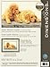 Dimensions Crafts Counted Cross Stitch Kit, Golden Retriever Puppies