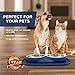 Bonza Cat or Small Dog Bowls with Spill-Proof Mat,12 oz Stainless Steel Feeding Dishes