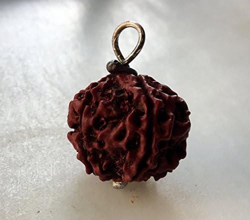 cydwlkRudraksha Bead Pendant in 925 Sterling Silver