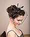 Vimans Women's Bow Feather Detachable Cocktail Party Veil Fascinator Hair Clip Hat