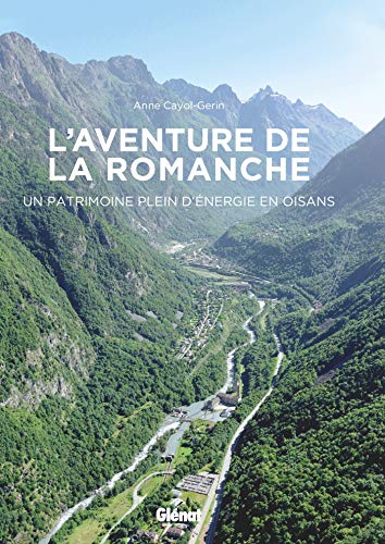 L'Aventure de la Romanche: Un patrimoine plein d'énergie en Oisans (Beaux livres Patrimoine) (French Edition) by Anne Cayol-Gerin