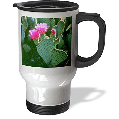 Danita Delimont - Cactus - USA, California, Anza-Borrego Desert SP. Beavertail Cactus Flowers. - 14oz Stainless Steel Travel Mug (tm_209061_1)