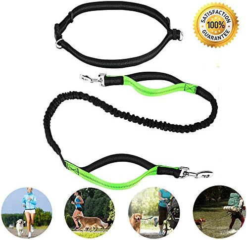 Hands Free Dog Leash Bungee for Running Walking Jogging Sport Retractable Hiking Leash Reflective Tape Dual Handle Extendable Adjustable Pet Training Lead Waist Belt For Medium and Large Dog