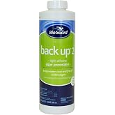 BioGuard Back Up 2 Algae Preventative, 1 Quart, Single Pack | Proven Effective Algae Preventative, Non-Staining, Keeps Water Clean and Clear
