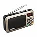 Rolton W405 Portable Mini FM Radio Speaker Music Player TF Card for PC iPod Phone with LED Display (Gold)