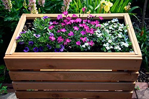 dobar 58160e -, marrón: Amazon.es: Productos para mascotas