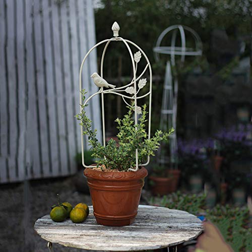 CJSWT Garten Pflanzenstütze Rankhilfe,Blumenstütze Gitterspalier Topfpflanzen Rankgitter Pflanzkübel Pflanzenkäfige für… – Bild 5