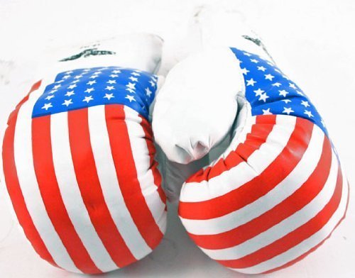 Shelter 1 Pair USA Flag 18 oz Boxing Punching Gloves