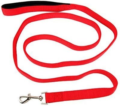Petroad 2 Layer Dog Leash for Walking &amp; Training, 6 Feet, Red