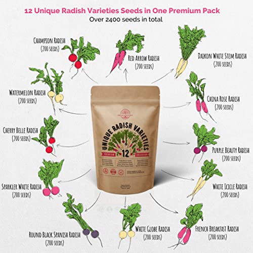 12 Radish Seeds Variety Pack for Planting Indoor & Outdoors 2400