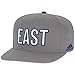 NBA Men's All Star - East All Star 16 Snapback, One Size, Gray
