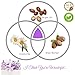 Deluxe Spa Basket,