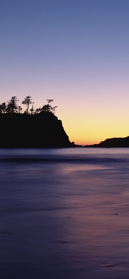 PeelitStickit, Beautiful Nature Wall Murals, ID-0791, vinyl