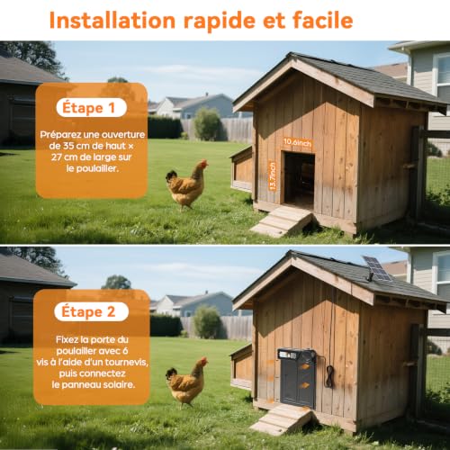 Grande Porte Automatique Poulailler Solaire avec Panneau 7W | Minuterie, Télécommande 15m, Écran LCD, Anti-Pincement, pour Poules Canards