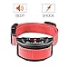 K9KONNECTION [New Color Collars] Dog No Bark Shock Collar Training System with Harmless Warning Beep & 7 Levels of Adjustable Sensitivity Control for Small, Medium & Large Dogs - Manual Included