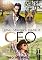 Livro Uma Cowgirl para o CEO: Theo Intempestivo (Destino Country)