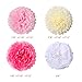 Pink and White Party Decorations Supplies Paper Lanterns Tissue Paper Pom Poms Dot Garland Kit for Wedding Birthday Bachelorette Baby Shower for Girls 19Pcs