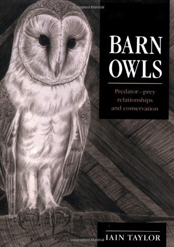 Barn Owls Predator Prey Relationships And Conservation By Iain