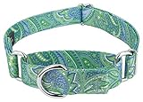 Country Brook Petz - Martingale Dog Collar - Five Paisley Collection (Green Paisley, 1 Inch, Medium)