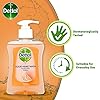 Dettol-Moisture-Antibacterial-Hand-Wash-Soap-Grapefruit-Dispensing-Pump-250-ml Dettol Moisture Anti Hand Wash Soap Dispensing Pump, 250 ml, Grapefruit, 1 Count