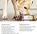 Solid Gold Dry Dog Food for Sensitive Stomach All Ages - Grain Free - w/Real Venison, Potato, & Pumpkin - Digestive Probiotics for Gut Health - Superfood & Antioxidant Support for Dogs - 24 LB