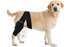 Dlevakve Medium Dog Knee Brace for Support with Cruciate Ligament Injury, Better Recovery with Dog ACL Knee Brace, Adjustable Dog Acl Brace Hind Leg for Torn Acl,Joint Pain and Muscle Sore