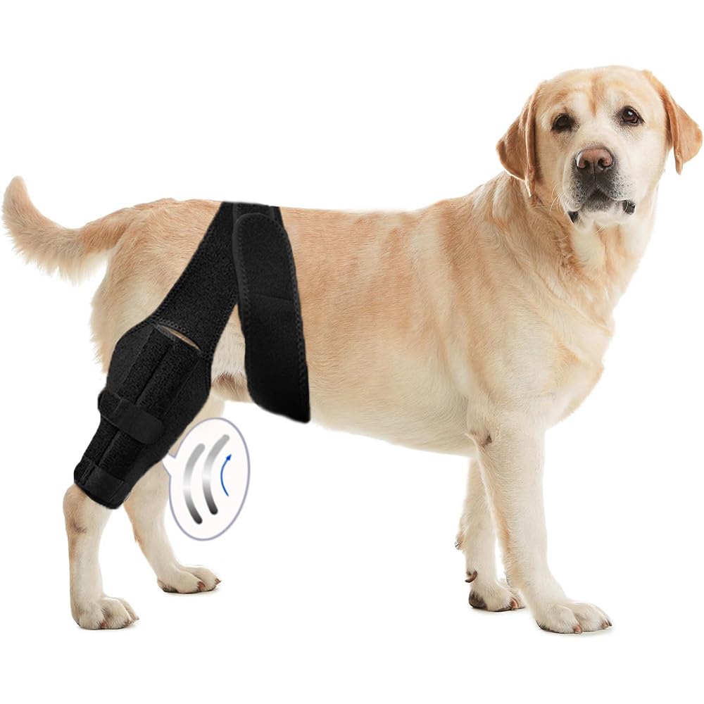 Photo 1 of Tinzum L Dog Leg Braces for Back Leg for Support with Cruciate Ligament Injury-Better Recovery with Dog Knee Brace for Torn Acl Hind Leg-Adjustable Hip Dysplasia Dog Acl Brace Hind Leg Rear