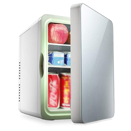 FISHD Mini Frigorificos 10L Nevera Portátil Refrigerador del Coche ...