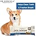 Dr. Mercola, Dental Chew Bones for Dogs Small, 1 Box (12 Bones), Dog Dental Care That Helps Clean Teeth and Freshen Breath, Non GMO, Soy Free, Gluten Free