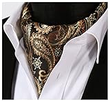 HISDERN Men's Paisley Floral Jacquard Woven Self Cravat Tie Ascot