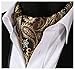 HISDERN Men's Paisley Floral Jacquard Woven Self Cravat Tie Ascot