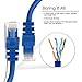 GearIT Cat5e Ethernet Patch Cable 50 Feet - Snagless RJ45 Computer LAN Network Cord, Blue