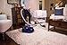 Electrolux EL4012A Silent Performer Bagged Canister Vacuum with 3-in-1 Crevice Tool and HEPA Filter, Blue