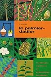 Palmier dattier by 